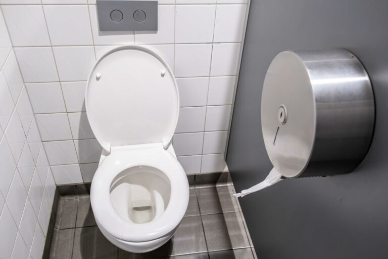 shopping_mall_toilet